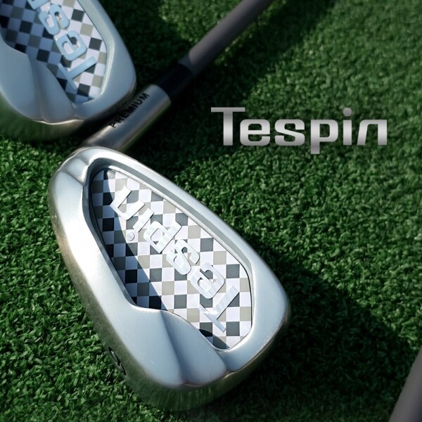투딘골프,Tespin 테스핀 아이언 세트 (남성용/여성용)
