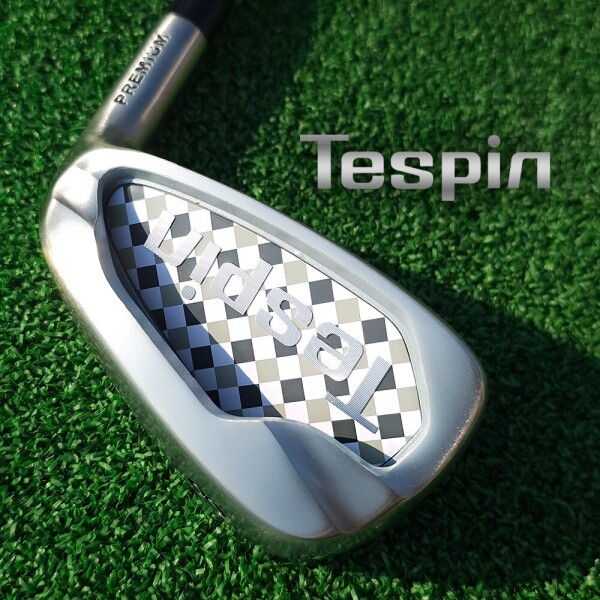 투딘골프,Tespin 테스핀 아이언 세트 (남성용/여성용)