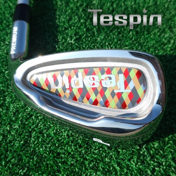 투딘골프,Tespin 테스핀 아이언 세트 (남성용/여성용)